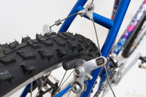 Raleigh Dyna-Tech Titanium 47cm Vintage Mountainbike