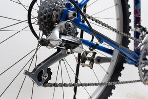 Raleigh Dyna-Tech Titanium 47cm Vintage Mountainbike