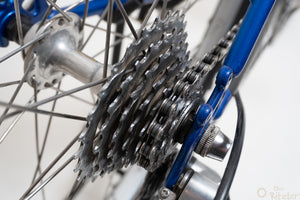 Raleigh Dyna-Tech Titanium 47cm Vintage Mountainbike