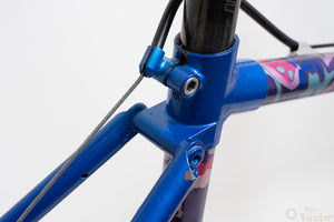 Raleigh Dyna-Tech Titanium 47cm Vintage Mountainbike