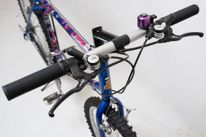Raleigh Dyna-Tech Titanium 47cm Vintage Mountainbike