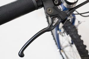 Raleigh Dyna-Tech Titanium 47cm Vintage Mountainbike
