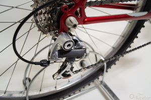 Raleigh M-Trax Ti1000 Titanium 44cm MTB