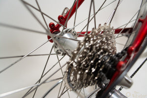 Raleigh M-Trax Ti1000 Titanium 44cm MTB