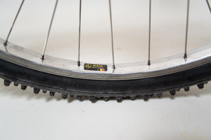 Raleigh M-Trax Ti1000 Titanium 44cm MTB