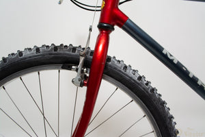 Raleigh M-Trax Ti1000 Titanium 44cm MTB