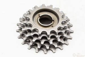 Regina Corsa 5-fach Schraubkranz 14-22