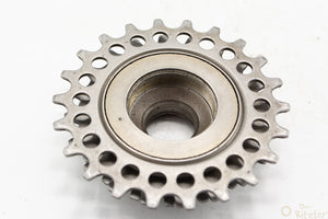 Regina Corsa 5-fach Schraubkranz 14-22