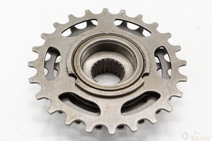 Regina BX 5-fach Schraubkranz