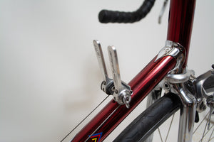 Rossin Record Cromovelato Campagnolo 50th anniversary Vintage Road Bike L'Eroica 55cm