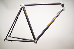 Specialized Epic Pro Carbon Vintage Rennrad-Rahmen 54cm