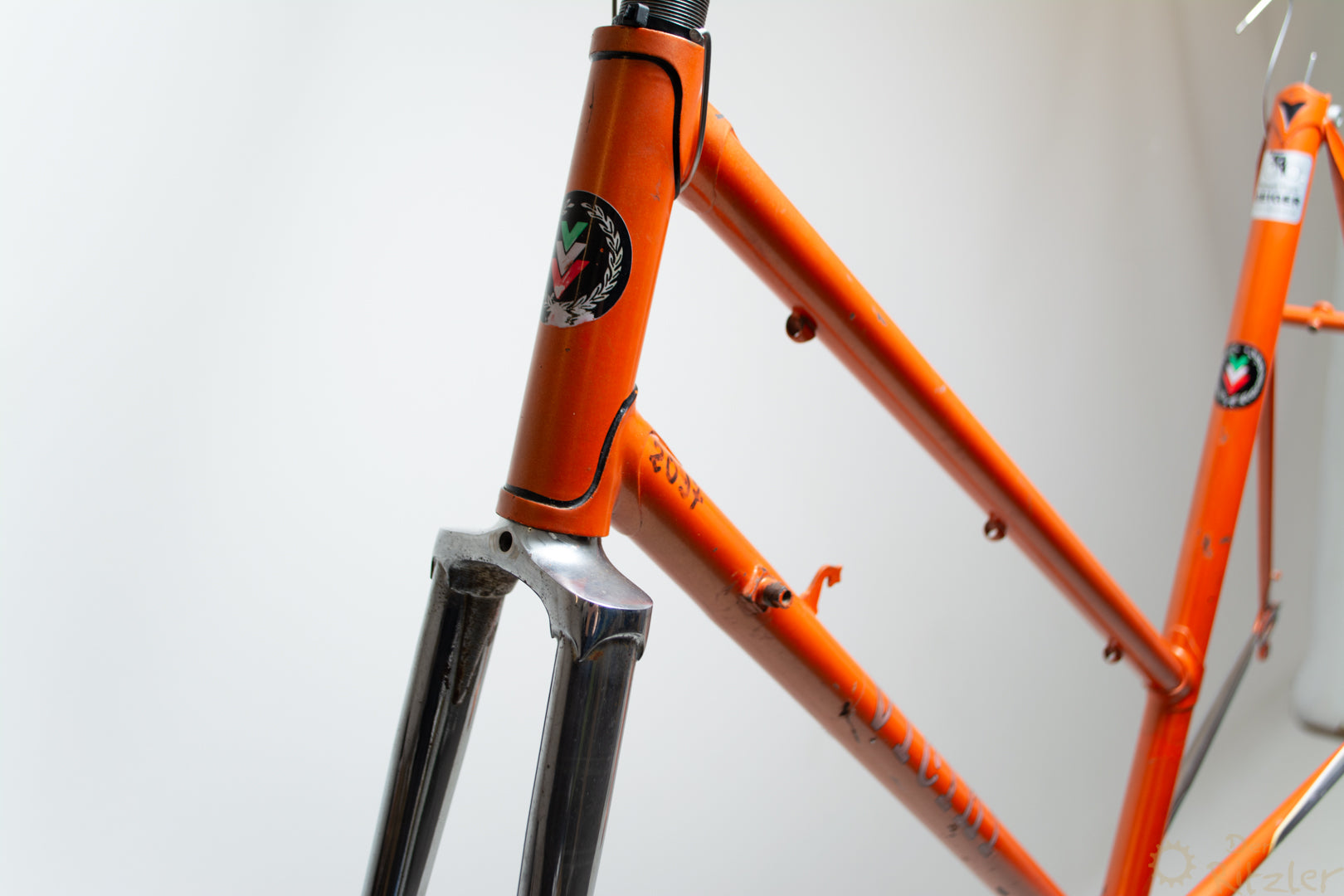 rennrad rahmen damen Vicini Damen-Rennradrahmen 54CM