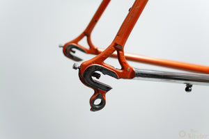 Vicini Damen-Rennradrahmen 54CM