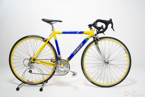 Vicini buntes Rennrad 47CM Campagnolo