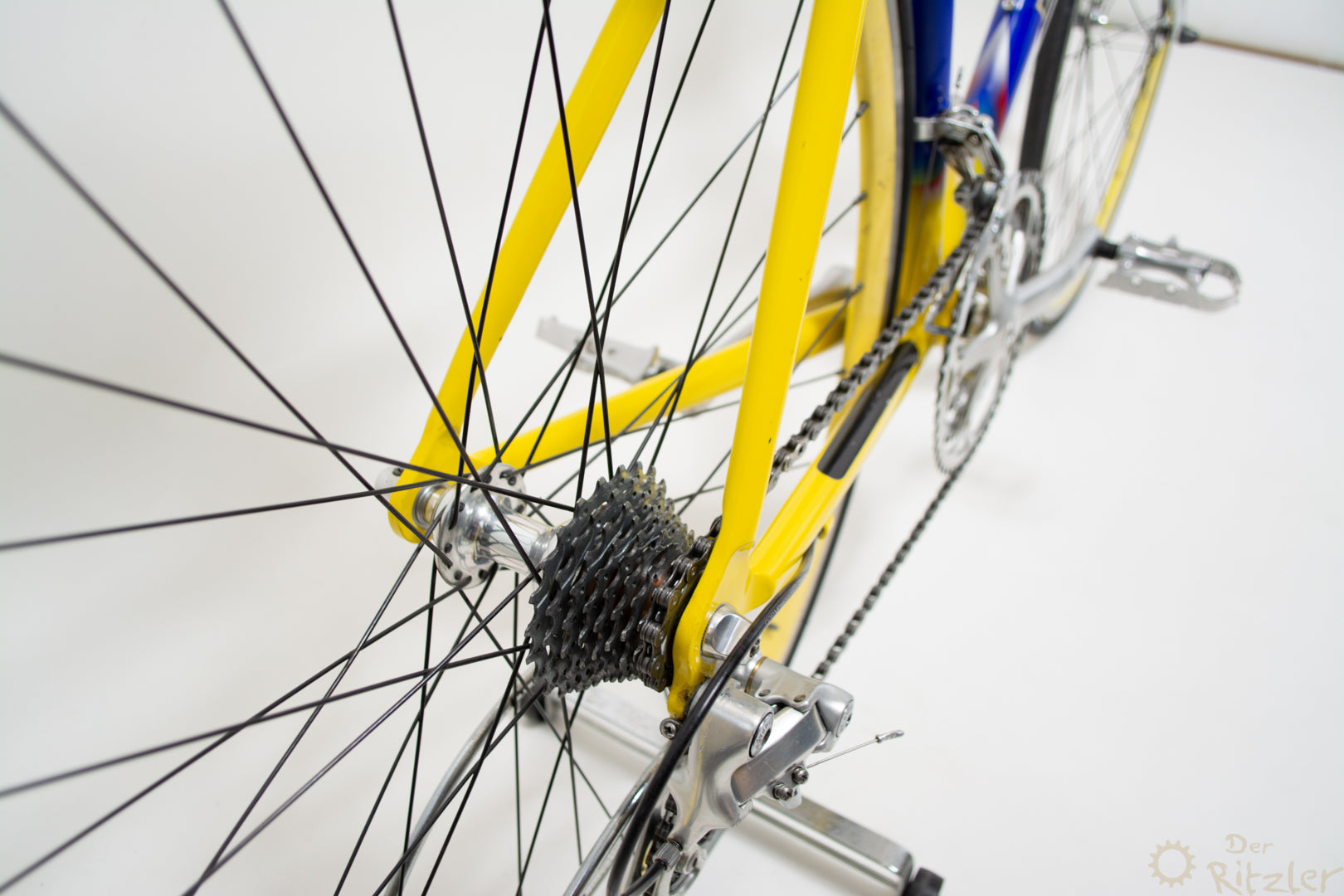 Vicini カラフルなレーシング バイク 47CM Campagnolo - The Ritzler