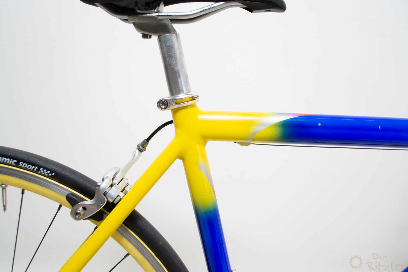 Vicini カラフルなレーシング バイク 47CM Campagnolo - The Ritzler