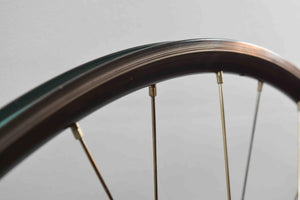 Campagnolo 1034 Record on Wolber TX profile front wheel