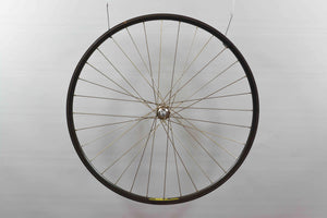 Campagnolo 1034 Record auf Wolber TX Profil Vorderrad