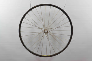Campagnolo 1034 Record on Wolber TX プロファイル フロント ホイール