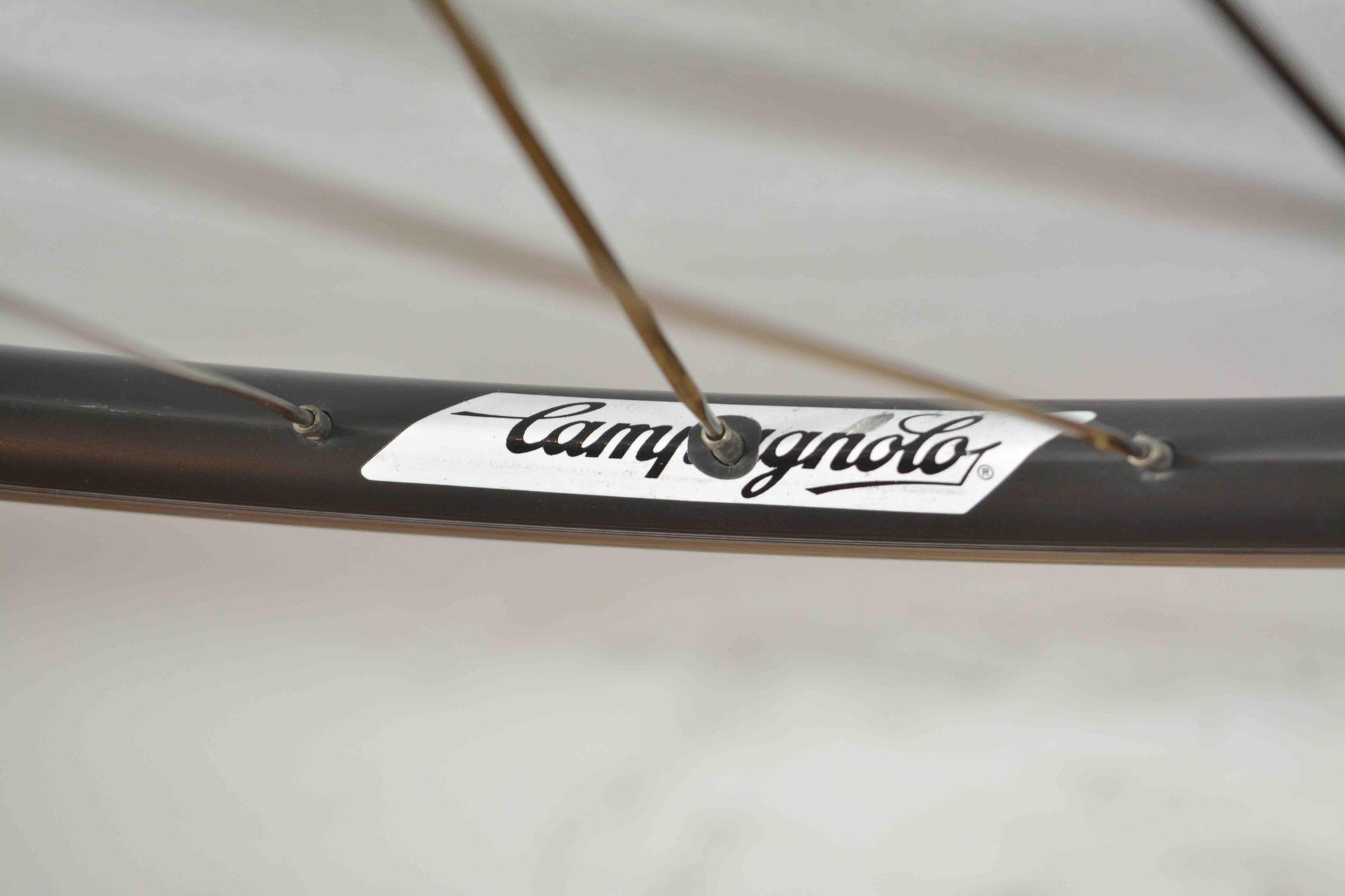 Campagnolo 322/101 C-Record auf Campagnolo Omega Strada Vorderrad