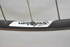 Campagnolo FH-00CE / HB-00CE Centaur 8-speed on Campagnolo Omega Strada rear wheel
