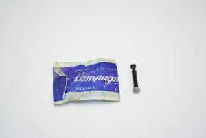 Campagnolo screws for dropout + spring short NOS drop out