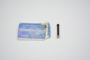 Дропаутный болт Campagnolo + длинная пружина NOS