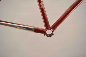 Colnago Mexico Rahmen RH 58