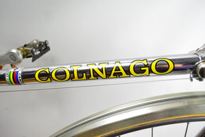 Colnago Donna Chrom 55cm Damenrennrad
