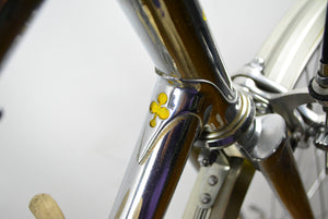 Colnago Donna Chrom 55cm Damenrennrad