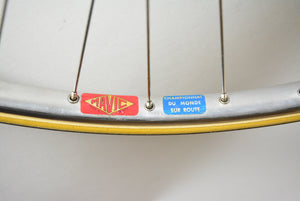 Colnago Donna Chrom 55cm Damenrennrad