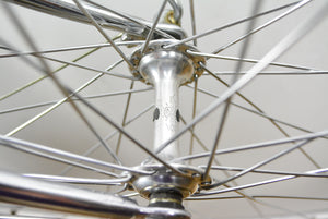 Colnago Donna Chrom 55cm Damenrennrad