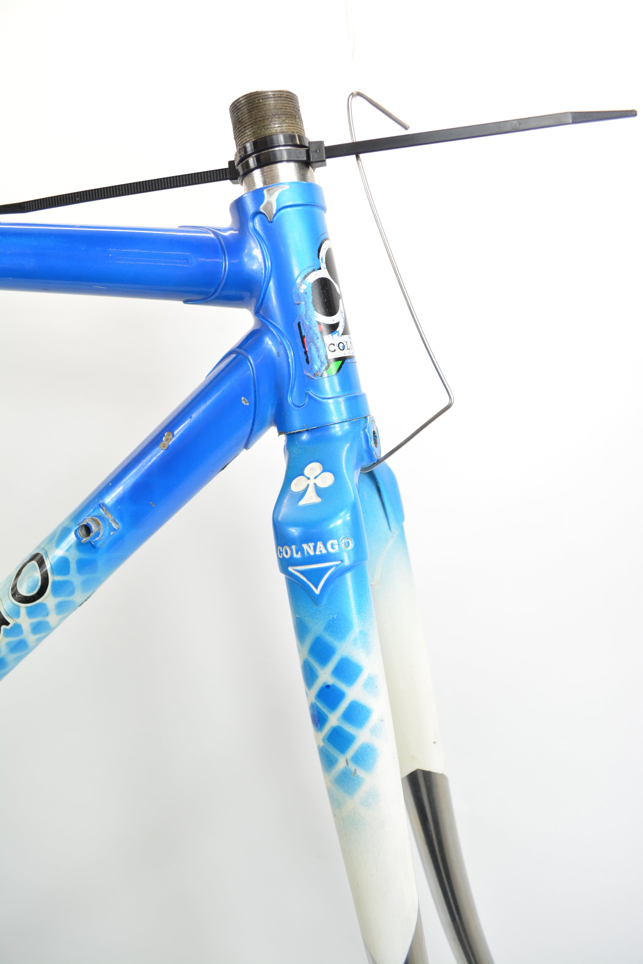 48 fahrradrahmen Colnago Mexico ESA Rennradrahmen RH 48,5