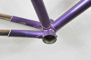 De Rosa Professional Rahmen RH 56 cm