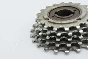 Diana S.C Schraubkranz 18-24 Zahn