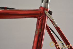 Faggin Special Cromovelato Campione del Mondo road bike frame size 54