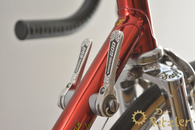 fagin rennrad Faggin Special Cromovelato Campione del Mondo Rennrad RH 54