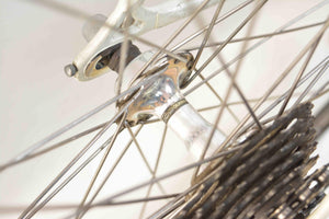 Francesco Moser Rennrad RH 54