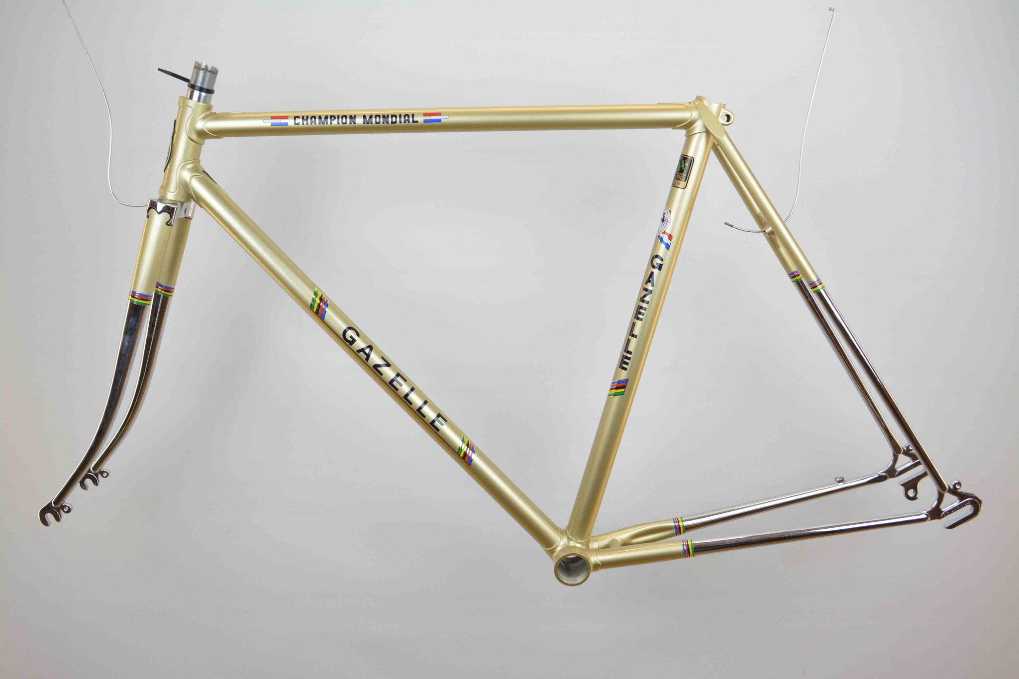 gazelle rennrad rahmen Gazelle Champion Mondial Rahmenset RH 51