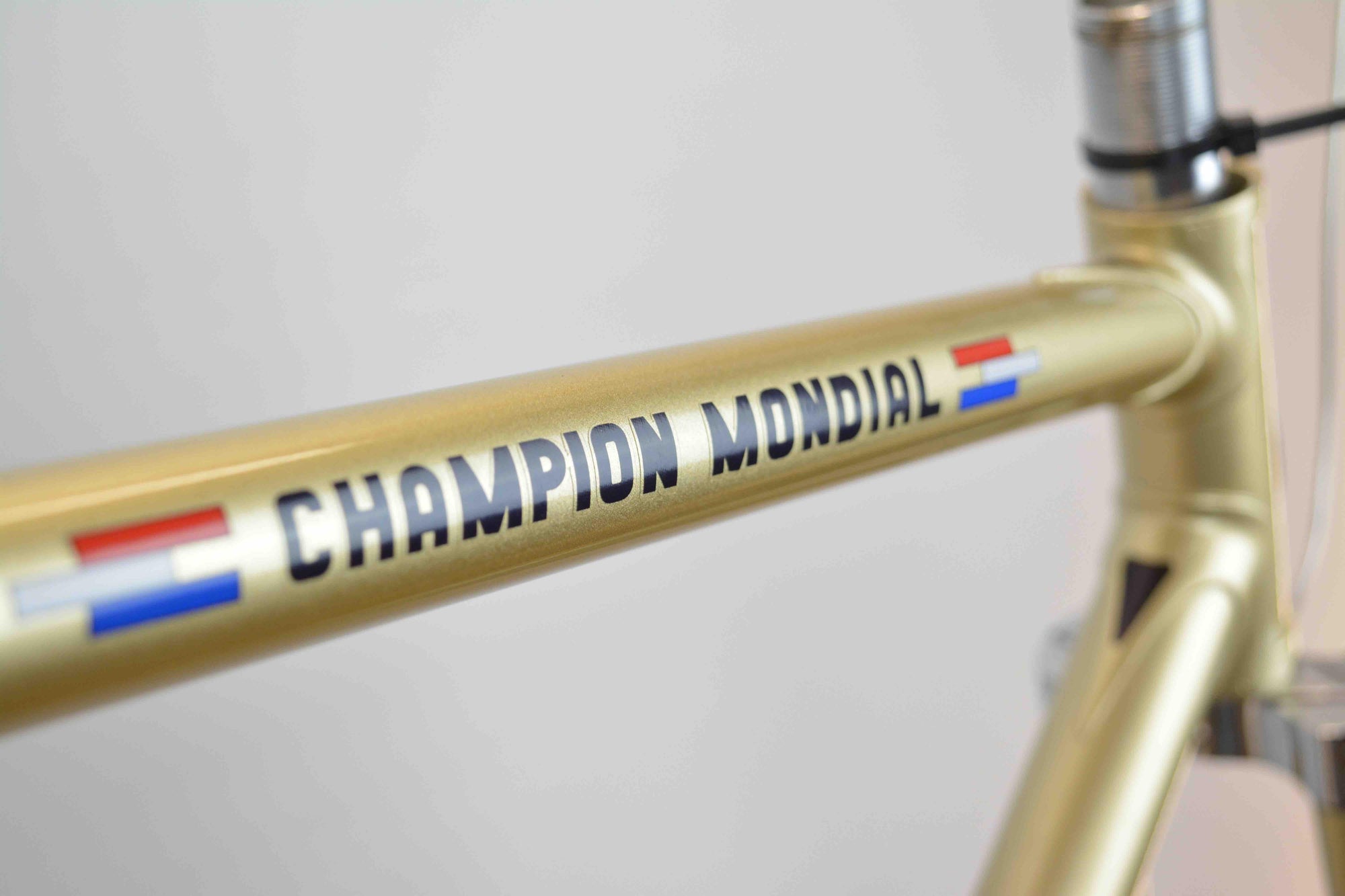 Gazelle Champion Mondial Rahmenset RH 51
