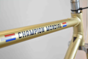 Gazelle Champion Mondial frameset RH 51