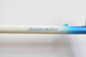 Gazelle Champion Mondial AA Super Frame Rahmenset RH 58 cm