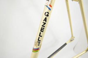 Gazelle Champion Mondial Pista Track Frame RH 52