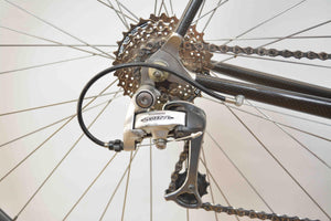 Giant Cadex 980C Speedbike RH 61