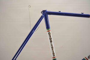 Gios Super Record Rahmenset RH 55
