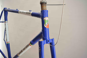 Gios Super Record Rahmenset RH 55