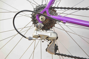 Koga Miyata Exerciser Rennrad RH 56