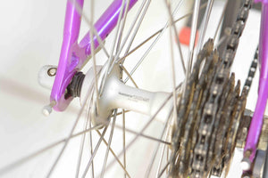 Koga Miyata Exerciser Rennrad RH 56