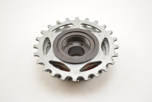 Maillard 700 Course Super Schraubkranz 14-24 Zähne