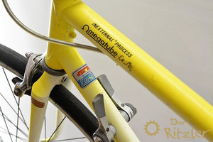 MBK Trainer Damenrad RH 48